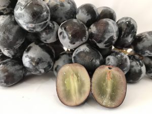 Nho đen Midnight Beauty Mỹ