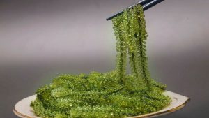 Ăn Rong Nho Có Tác Dụng Gì