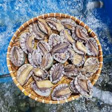 Bào Ngư Hàn Quốc