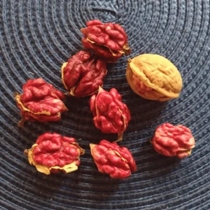 Nhân Ốc Chọp Đỏ 250g Mỹ