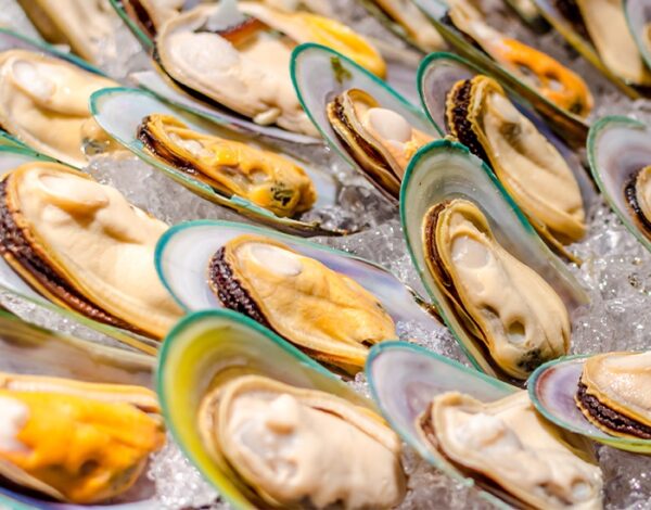 Vẹm Xanh New Zealand