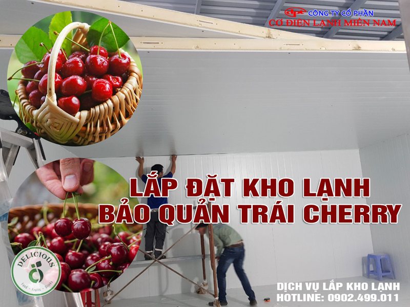 Bảo quản cherry - Bảng cách bảo quản theo mục đích sử dụng