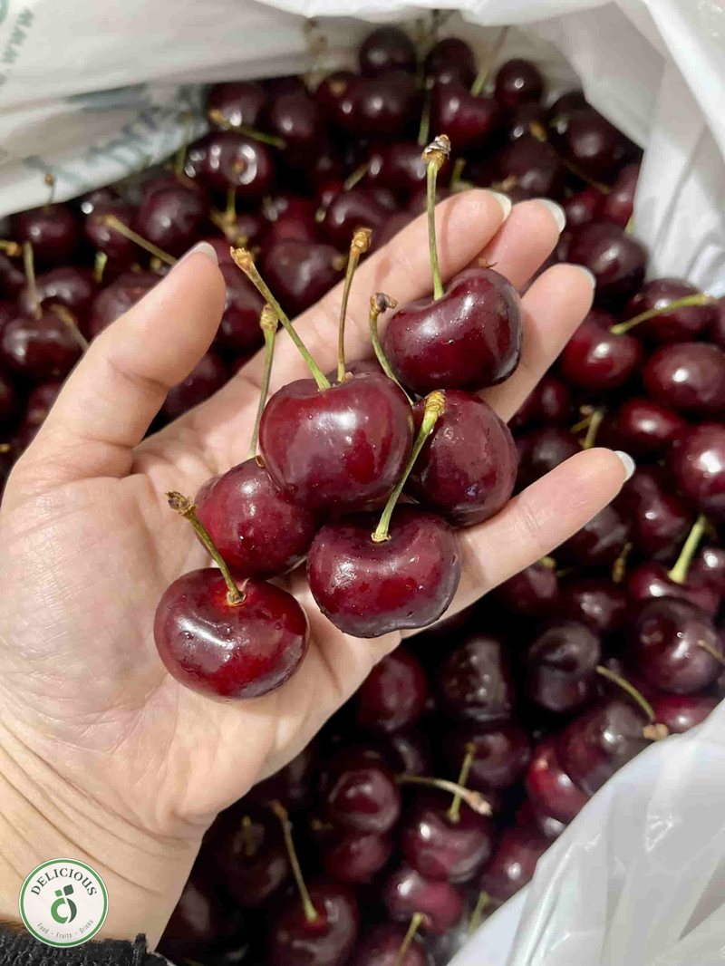 Cherry Mỹ giá bao nhiêu - Chính vụ hè: giai đoạn giá dịu nhất Cherry Mỹ giá bao nhiêu - Chính vụ hè: giai đoạn giá dịu nhất