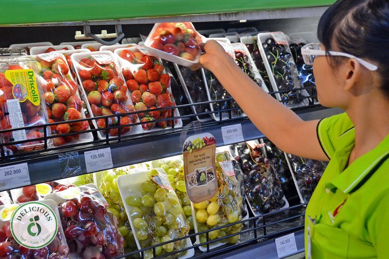 Mùa vụ trái cây nhập khẩu - Mùa vụ trái cây nhập khẩu vận hành theo nguyên lý hai bán cầu