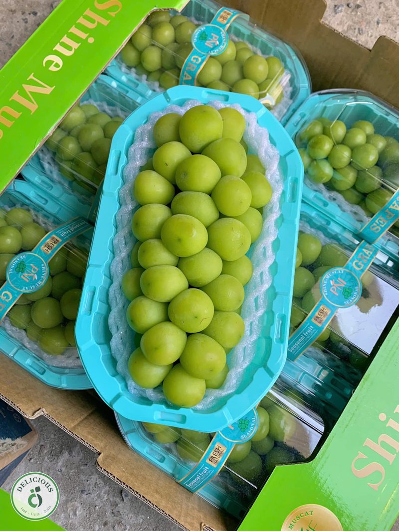 Nhận biết trái cây nhập khẩu - Thùng và bao bì gốc: lớp khó giả hơn