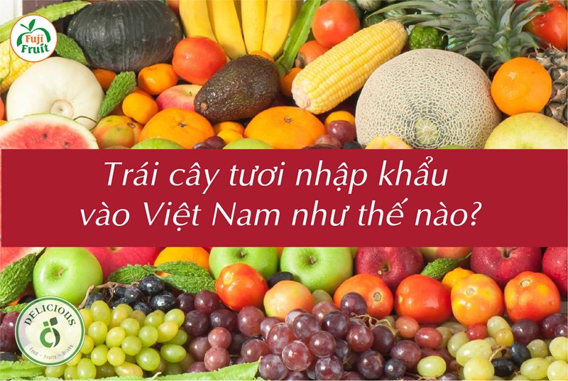 Nhận biết trái cây nhập khẩu - Soi cuống và độ đồng đều