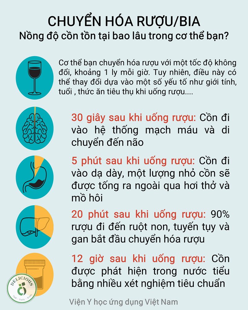 Nồng độ cồn trong bia - Đọc nồng độ cồn ở đâu trên nhãn?