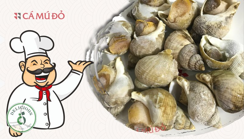 Ốc bulot làm món gì - Ốc bulot làm món gì ngon? Câu trả lời nhanh Ốc bulot làm món gì - Ốc bulot làm món gì ngon? Câu trả lời nhanh
