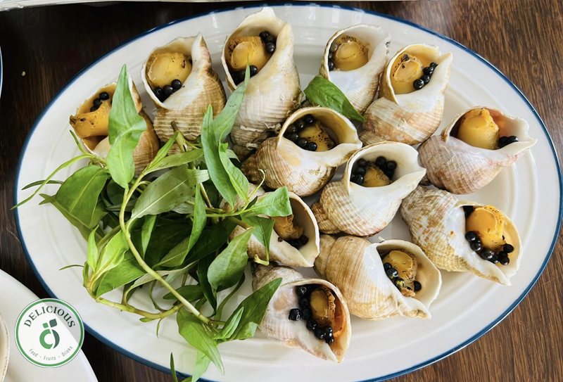 Ốc bulot làm món gì - Rã đông đúng cách — khâu quyết định trước mọi món Ốc bulot làm món gì - Rã đông đúng cách — khâu quyết định trước mọi món